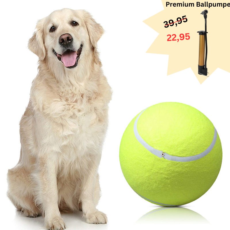 Lynn & Co | Reuze Tennis Bal