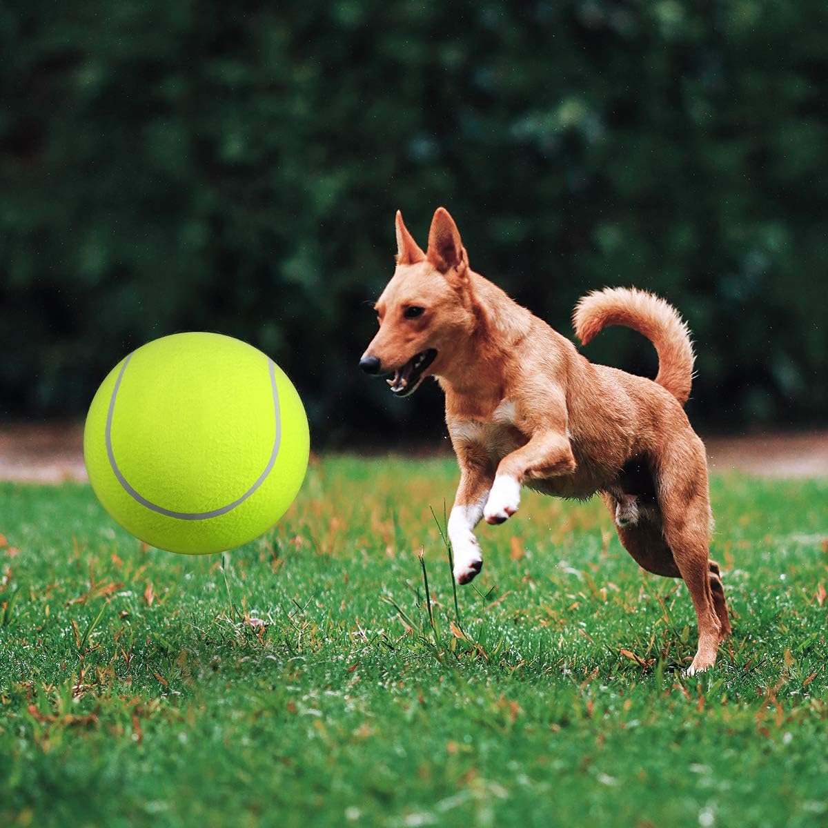 Lynn & Co | Reuze Tennis Bal