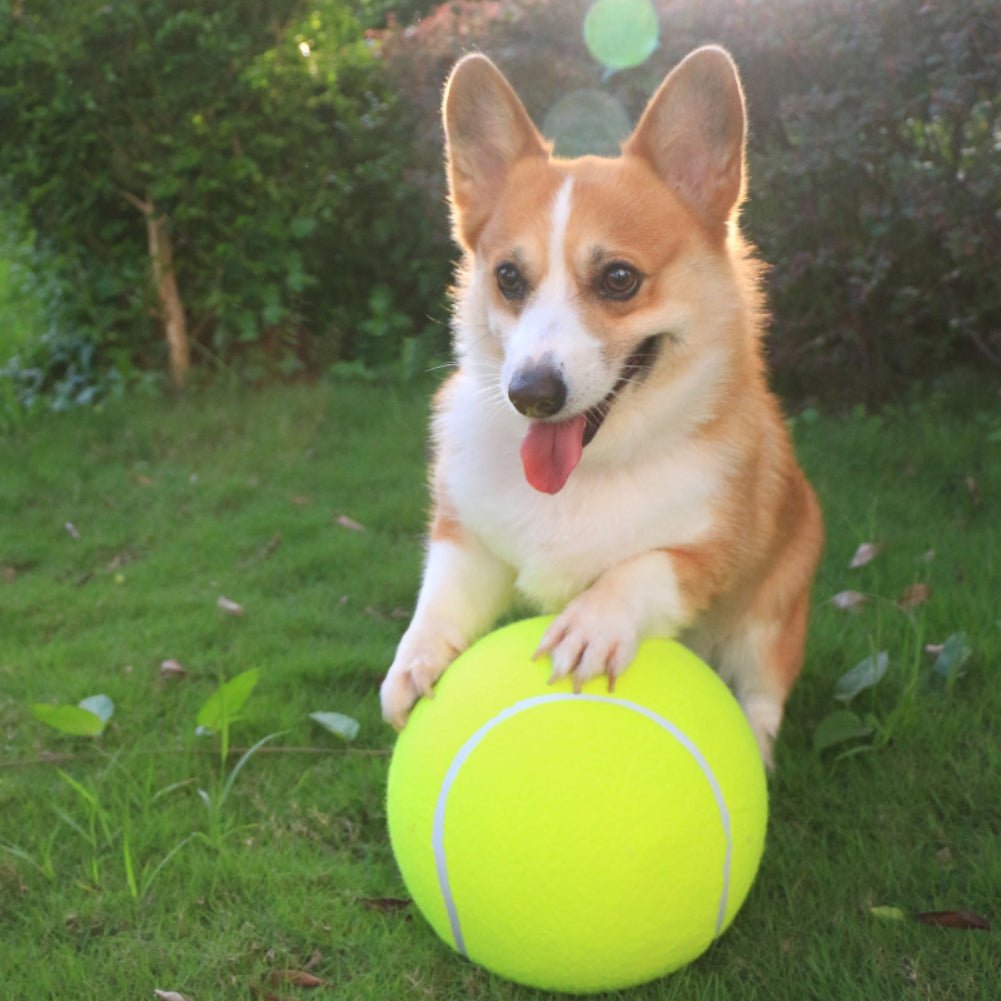 Lynn & Co | Reuze Tennis Bal
