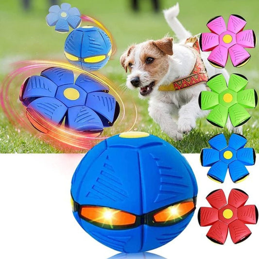 AirPup - Eindeloos Speelplezier Voor Uw Viervoeter 🐶
