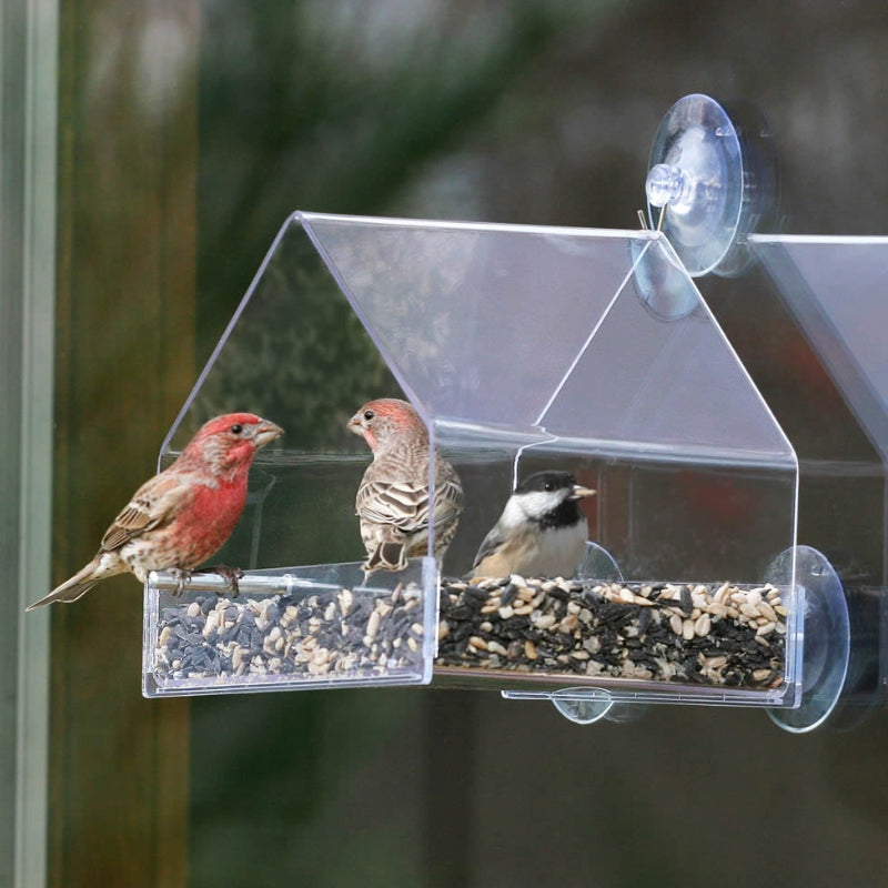 VogelVilla™ - Breng de natuur dichterbij met dit huisje!